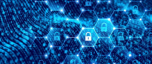 数据防泄漏 网络技术服务中的生命线与守护盾